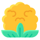 coliflor icon