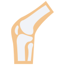 articulación de la rodilla 