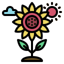 girasol icon