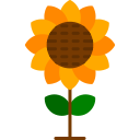 girasol icon