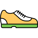 zapato icon