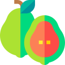 guayaba icon