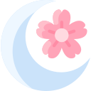 hanami icon