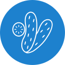 pepino icon