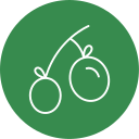 aceitunas icon