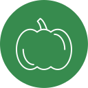 calabaza icon