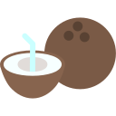 agua de coco icon