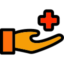 voluntario icon