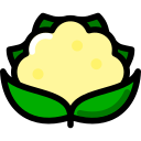 coliflor icon