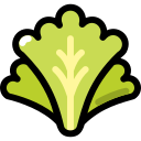 lechuga icon