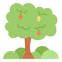 Árbol de frutas icon