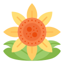 girasol icon