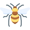 abeja icon