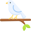 pájaro icon