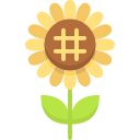 girasol icon