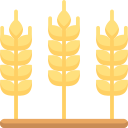 trigo icon