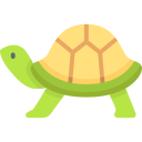 tortuga icon