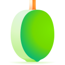 aceituna icon