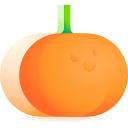 mandarina icon