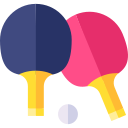 ping pong icon