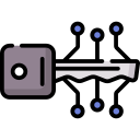 llave digital icon