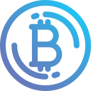 bitcoin icon