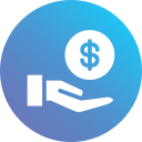 dólar icon