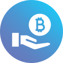 bitcoin icon