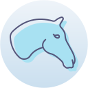 caballo icon