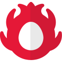 Dragon fruit 