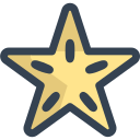 carambola icon