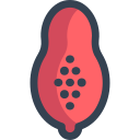 papaya icon