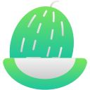 melón icon