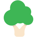 brócoli icon