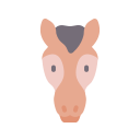 caballo icon