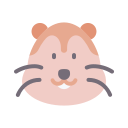 nutria icon