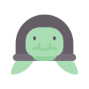 tortuga icon