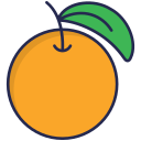 naranja icon