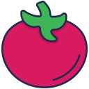 tomate icon