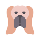 basset hound icon