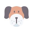 boxer icon