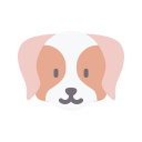 perro bretaña icon