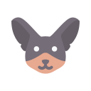 chihuahua icon