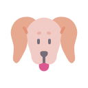 perro tejonero icon