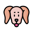 perro tejonero icon