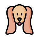 perro icon