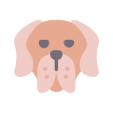 perro icon