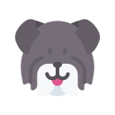 schnauzer miniatura icon