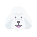 caniche icon