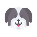 shih-tzu icon